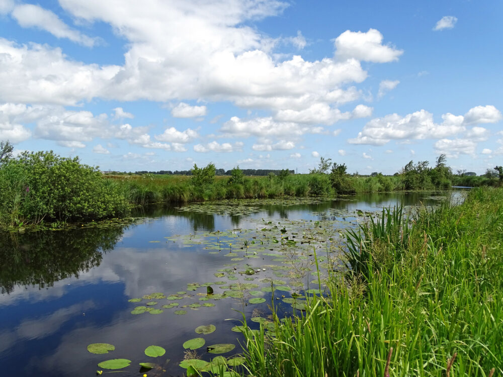 De Biks (Onnerpolder)