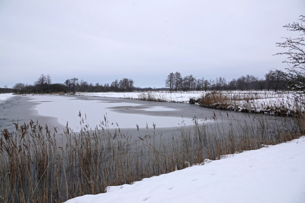 Doezumermieden in de sneeuw