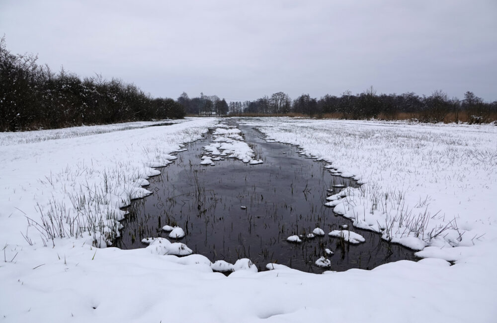 Doezumermieden in de sneeuw