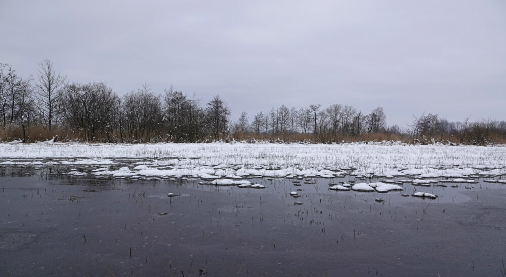 Doezumermieden in de sneeuw