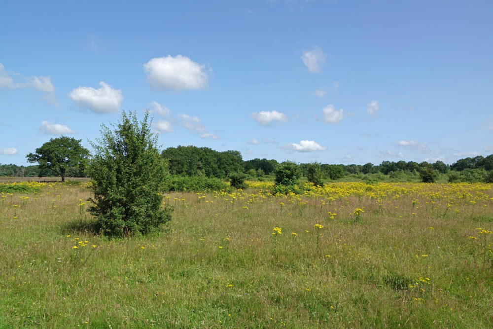 Gasterse Duinen 