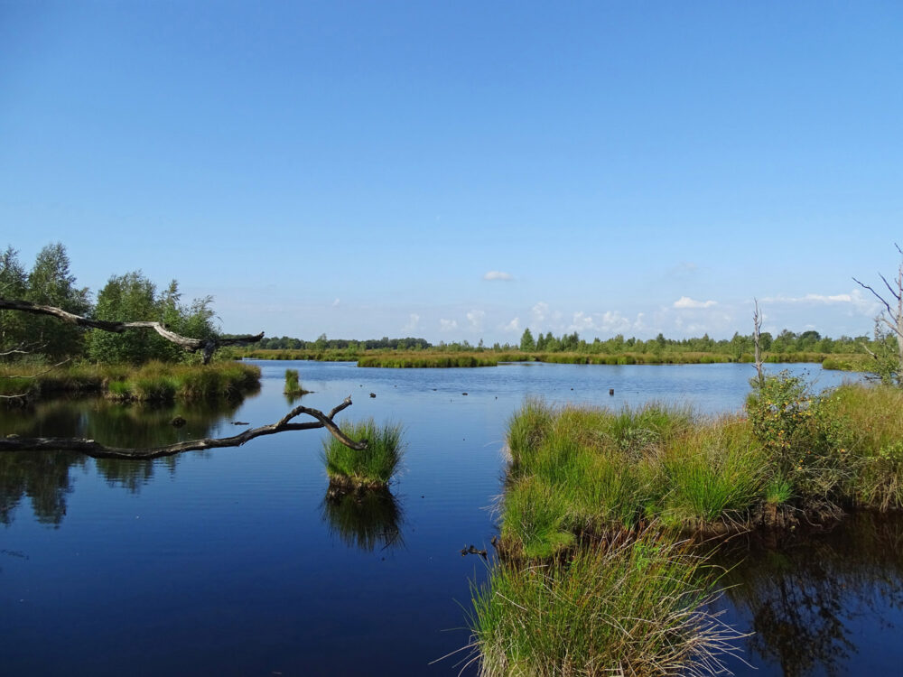 Holtveen (Dwingelderveld)