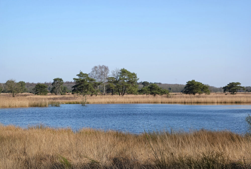 Koelingsveld (Doldersum)