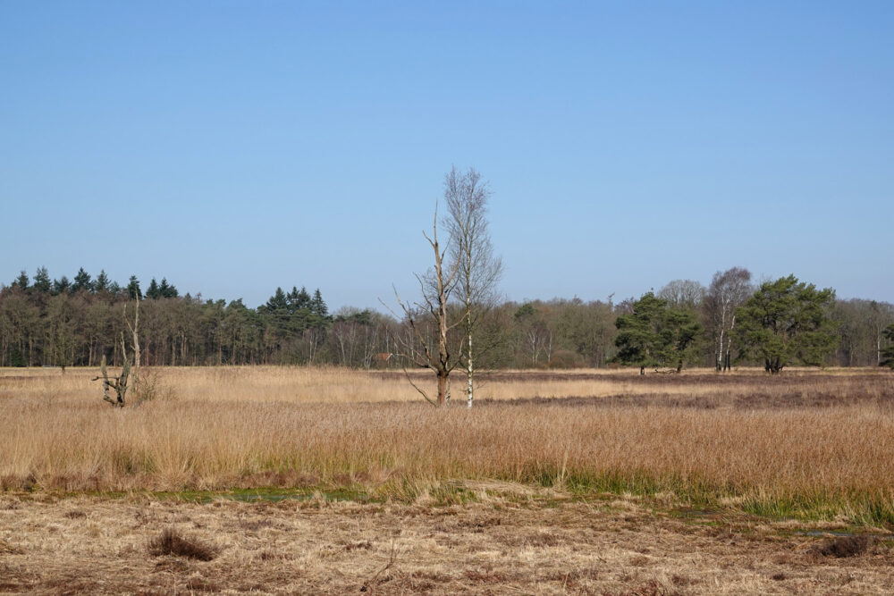 Koelingsveld (Doldersum)