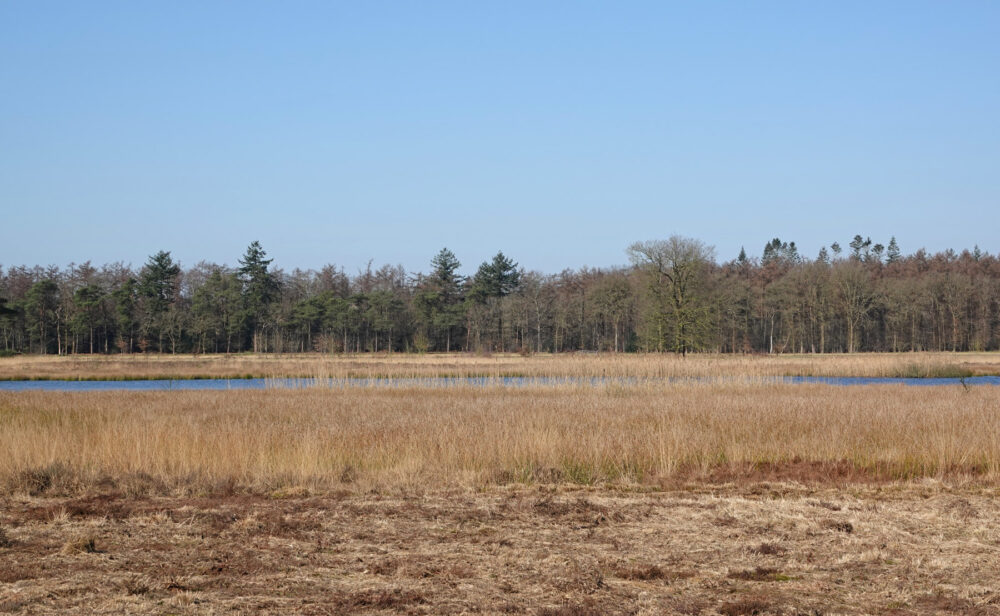 Koelingsveld (Doldersum)