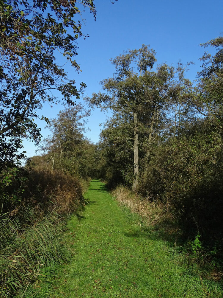 Lettelberter Petten (Onlanden)