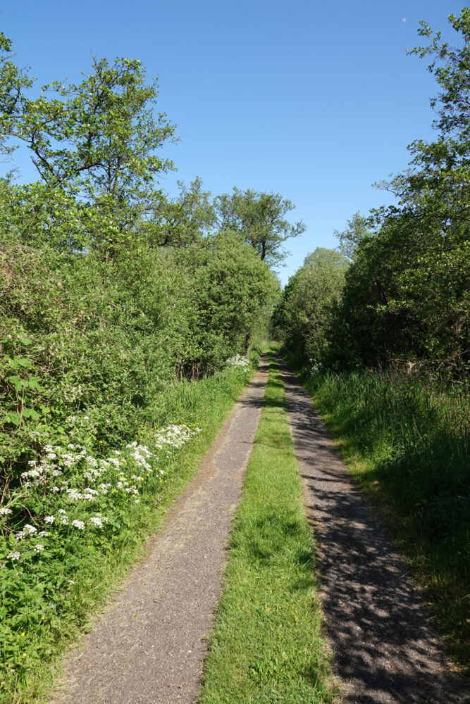 Lettelberter Petten