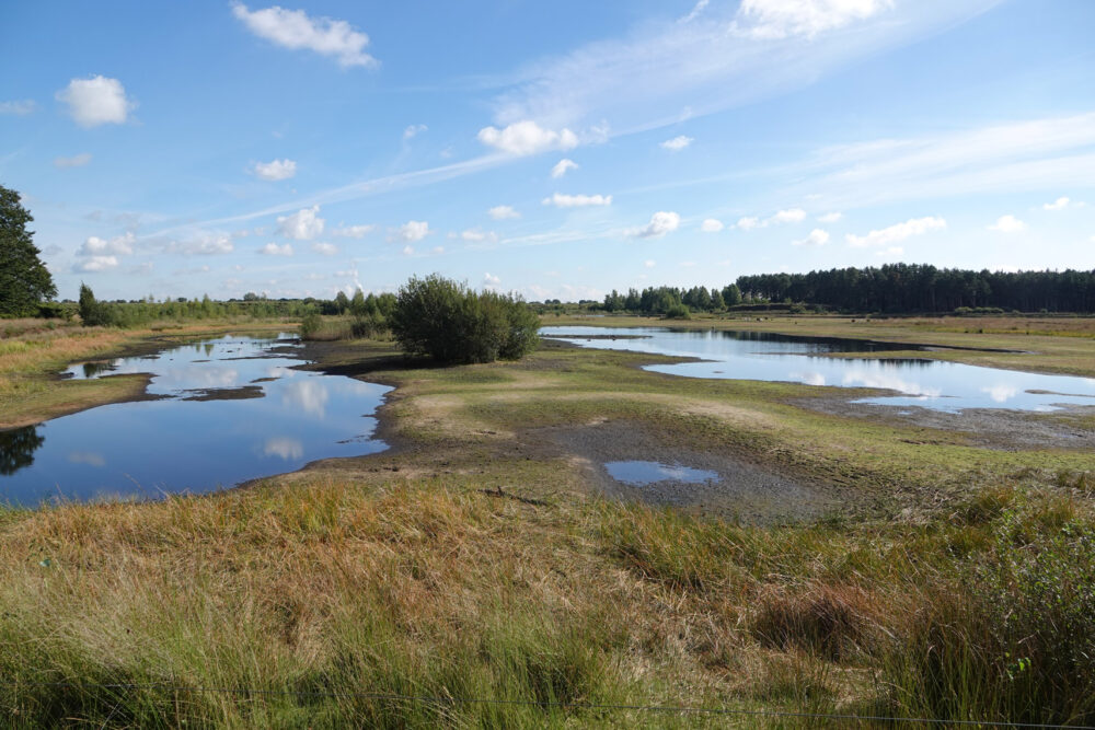 Holtveenslenk (NP Dwingelderveld)