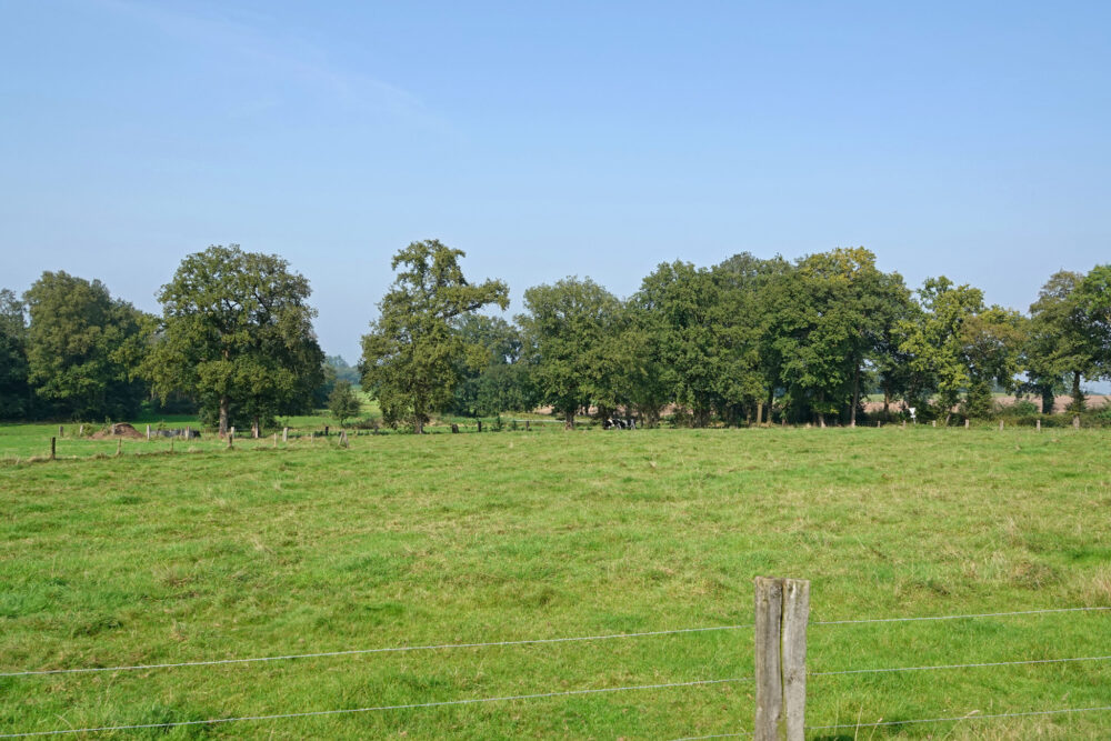 Nationaal Landschap Noordoost-Twente