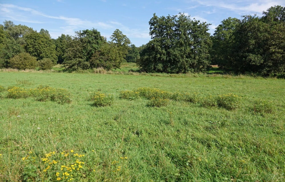 Nationaal Landschap Noordoost-Twente