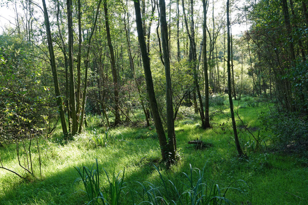 Nationaal Landschap Noordoost-Twente