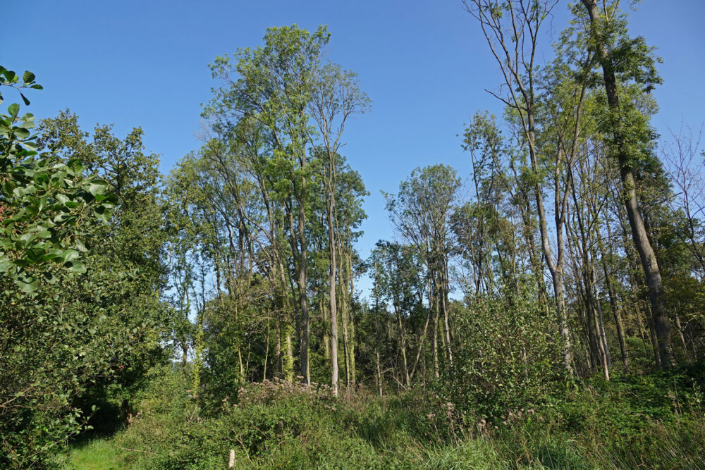 Nationaal Landschap Noordoost-Twente