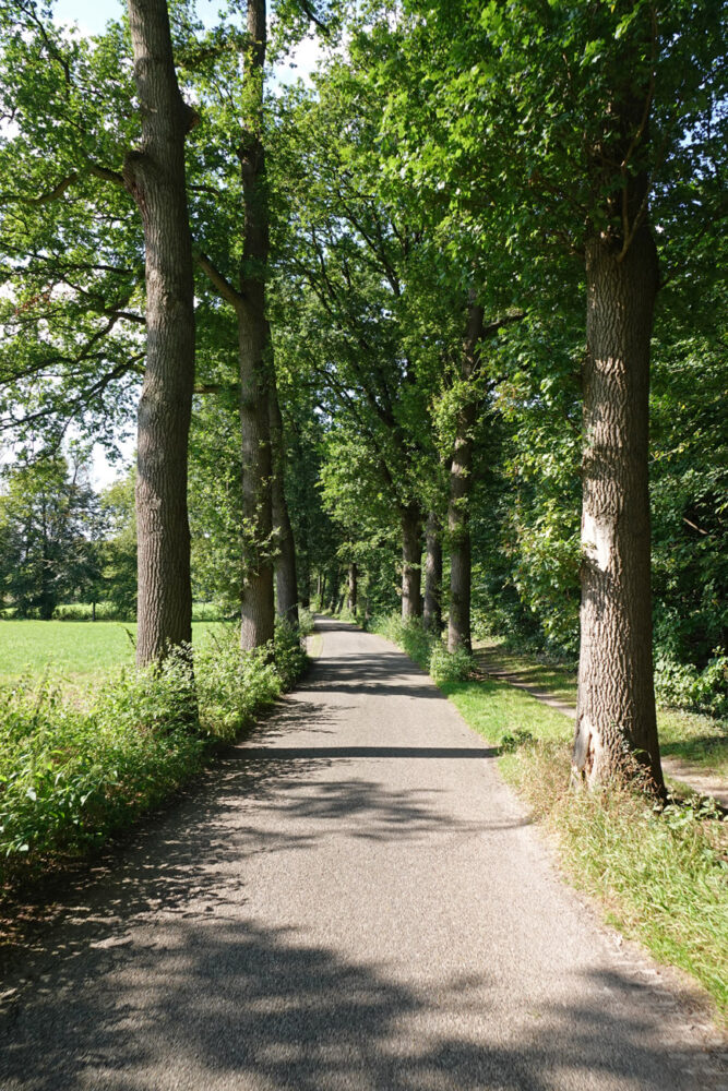 Nationaal Landschap Noordoost-Twente