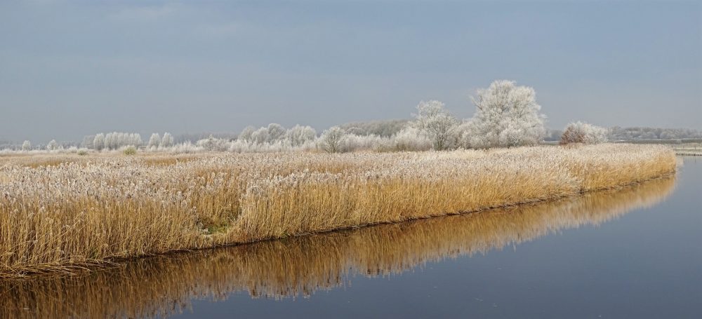 Onlanden in de rijp