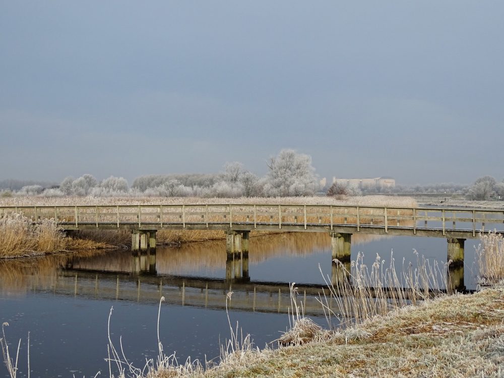 Onlanden in de rijp