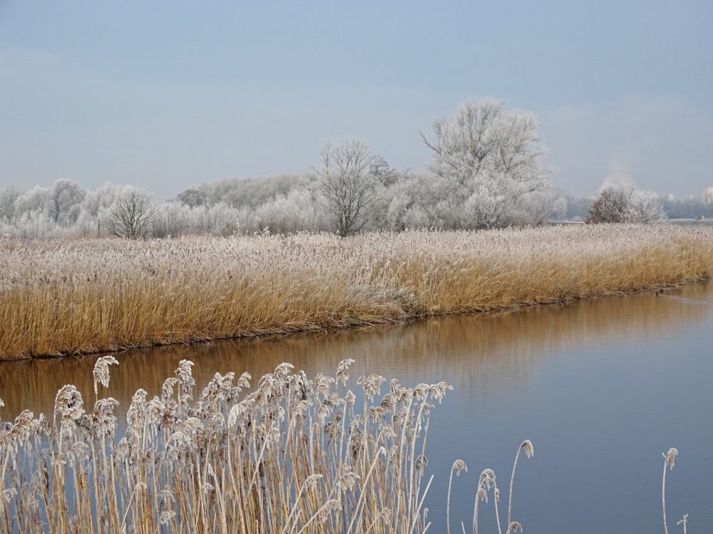 Onlanden in de rijp