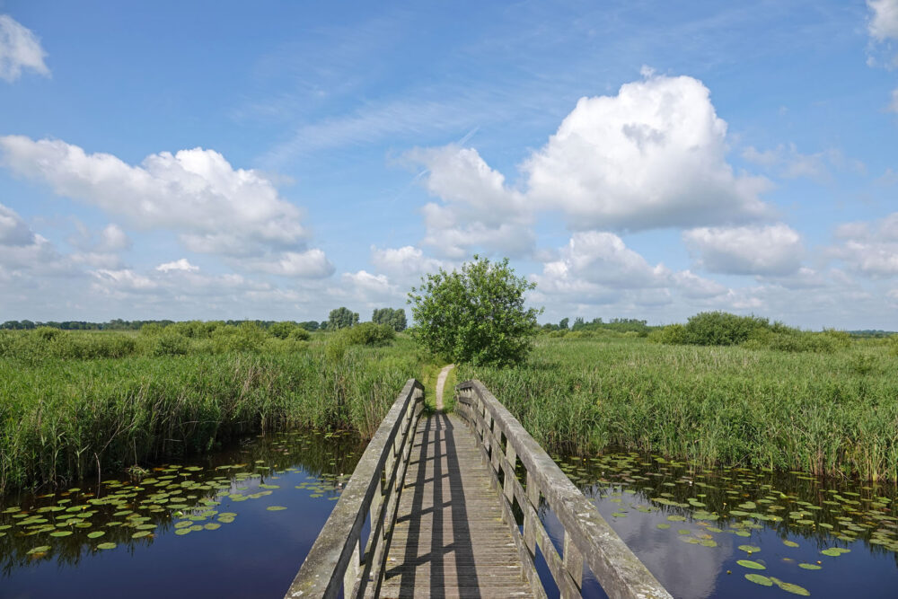 Onlandse dijk in het Matslootgebied