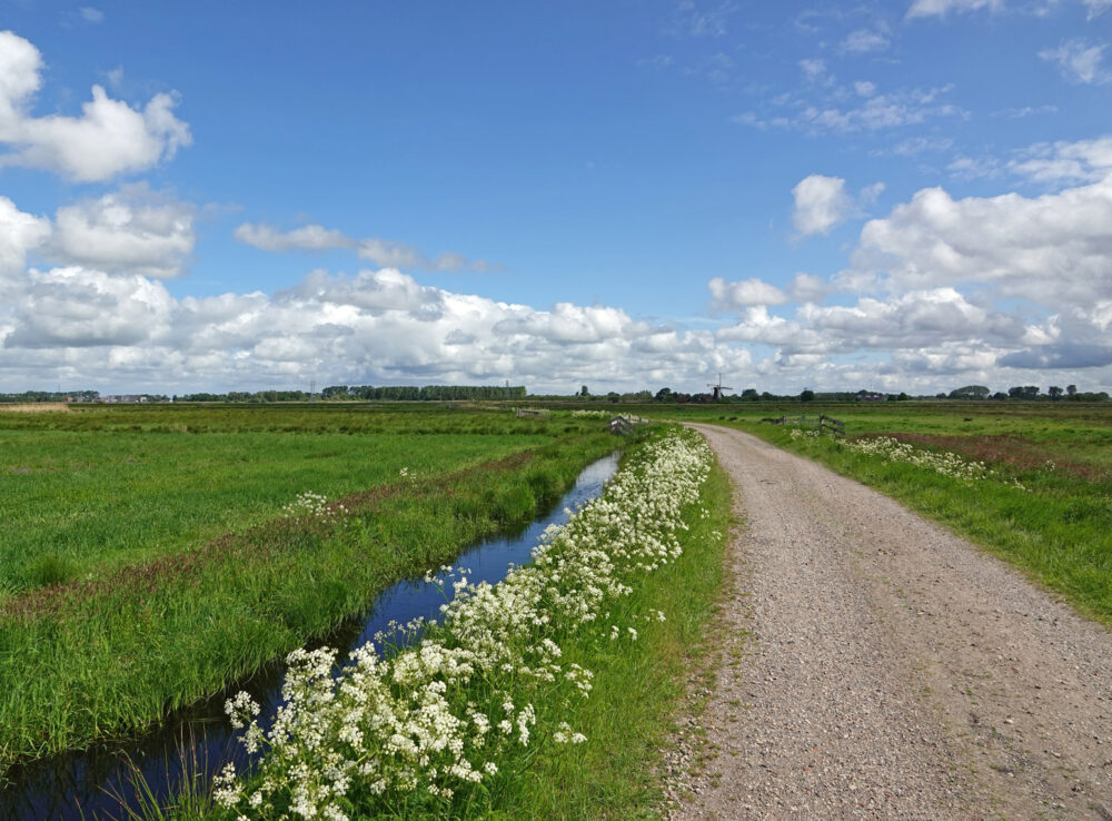 Onnerpolder in voorjaar