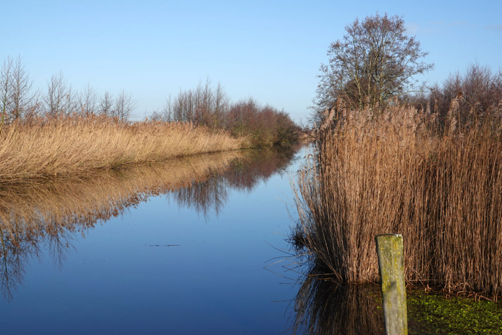 Rodervaart langs De Bolmert