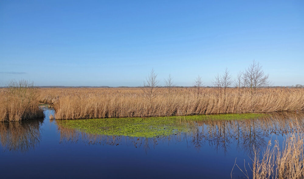 Rodervaart langs De Bolmert