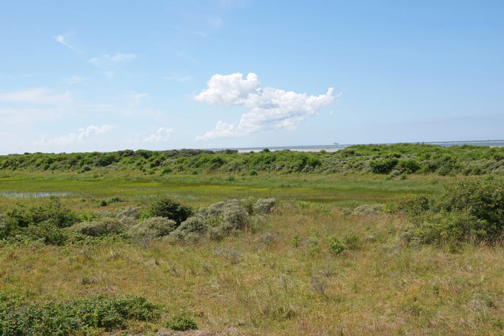 Vuurtorenvallei in de Westerduinen (Schiermonnikoog)