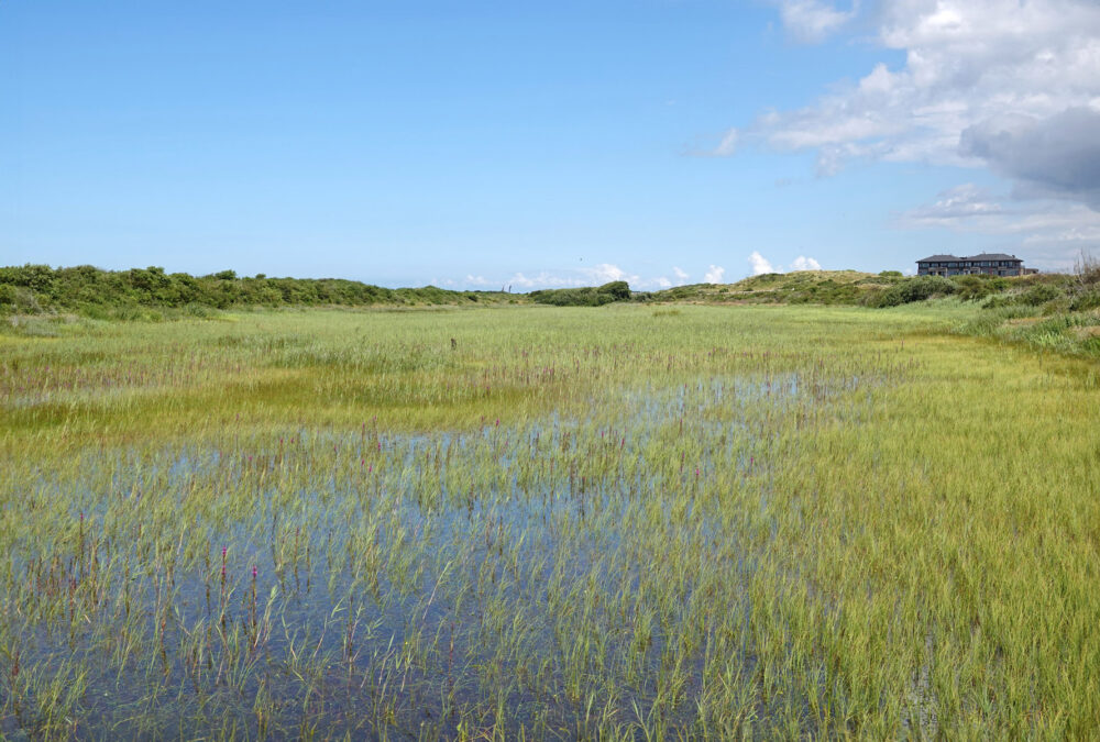 Vuurtorenvallei in de Westerduinen (Schiermonnikoog)