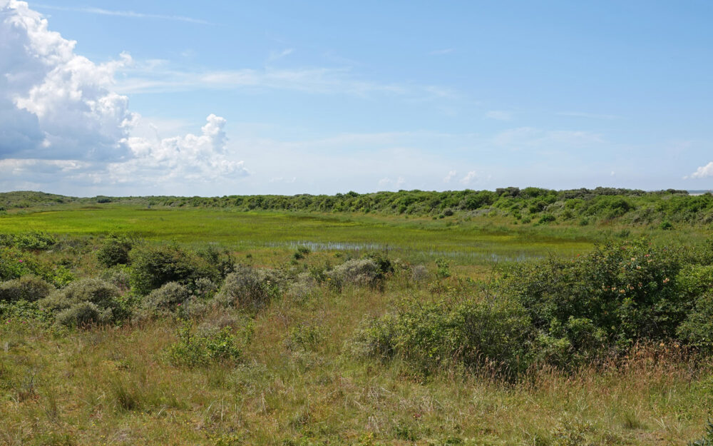 Vuurtorenvallei in de Westerduinen (Schiermonnikoog)