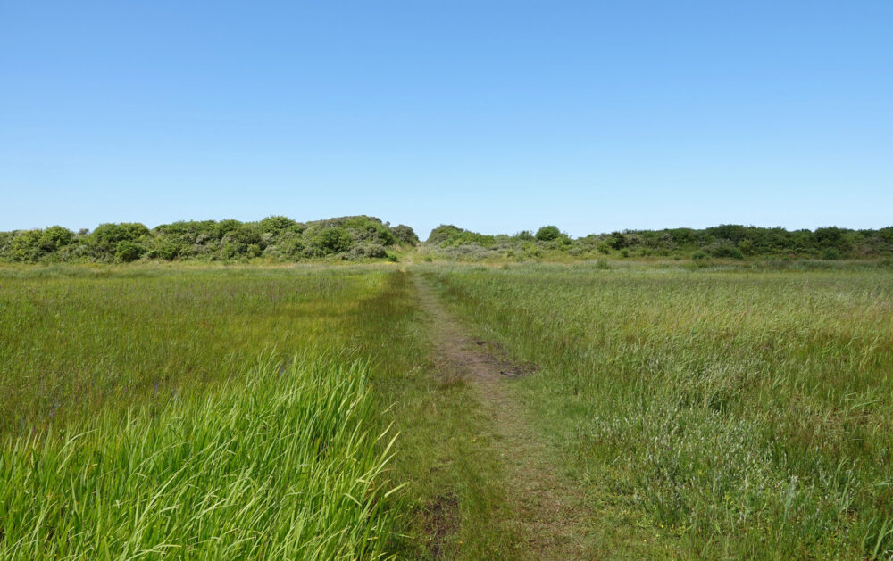 Vuurtorenvallei in de Westerduinen (Schiermonnikoog)