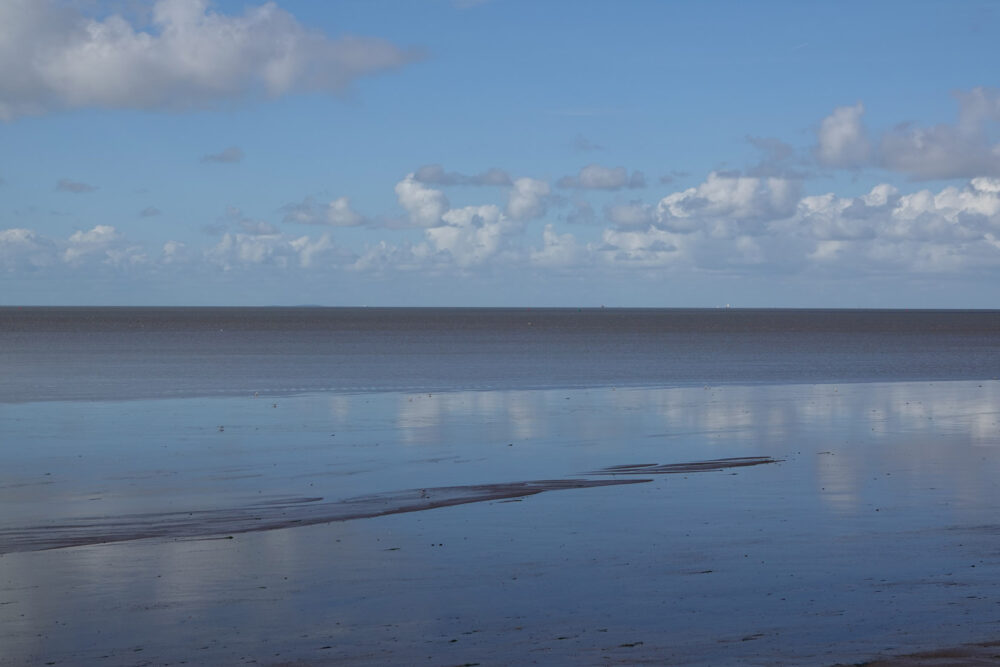 Wad bij Harlingen