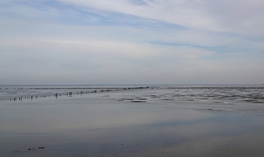 Wad bij kwelders Emmapolder