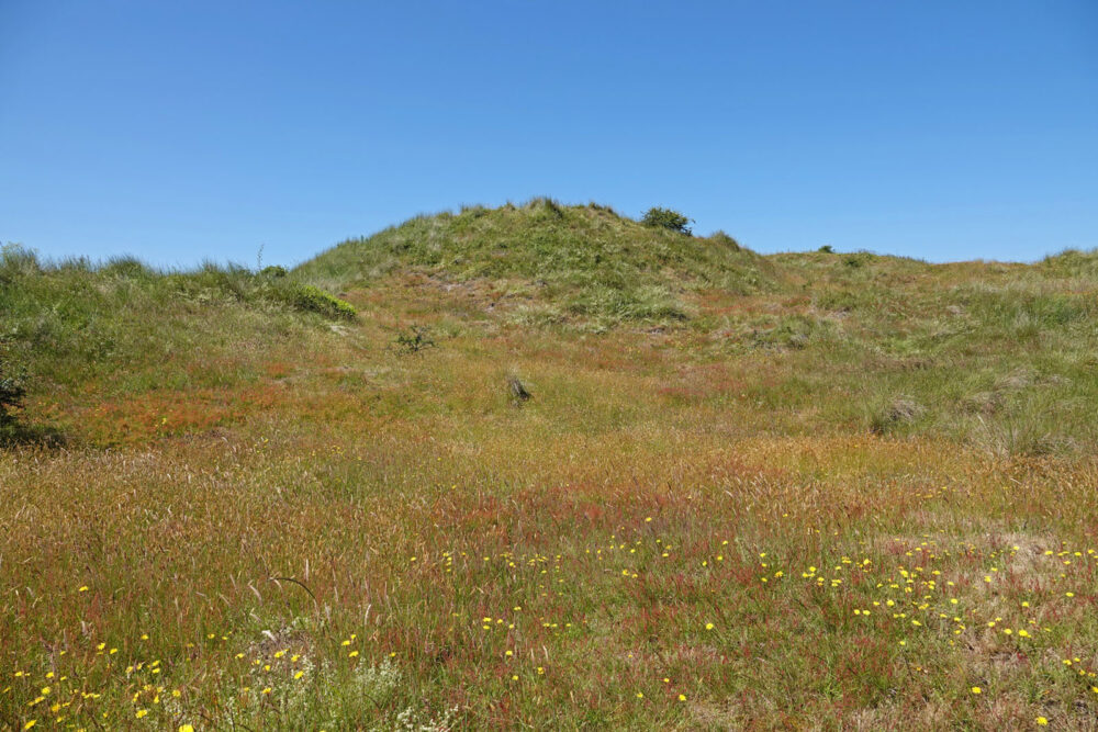 Westerduinen (Schiermonnikoog)