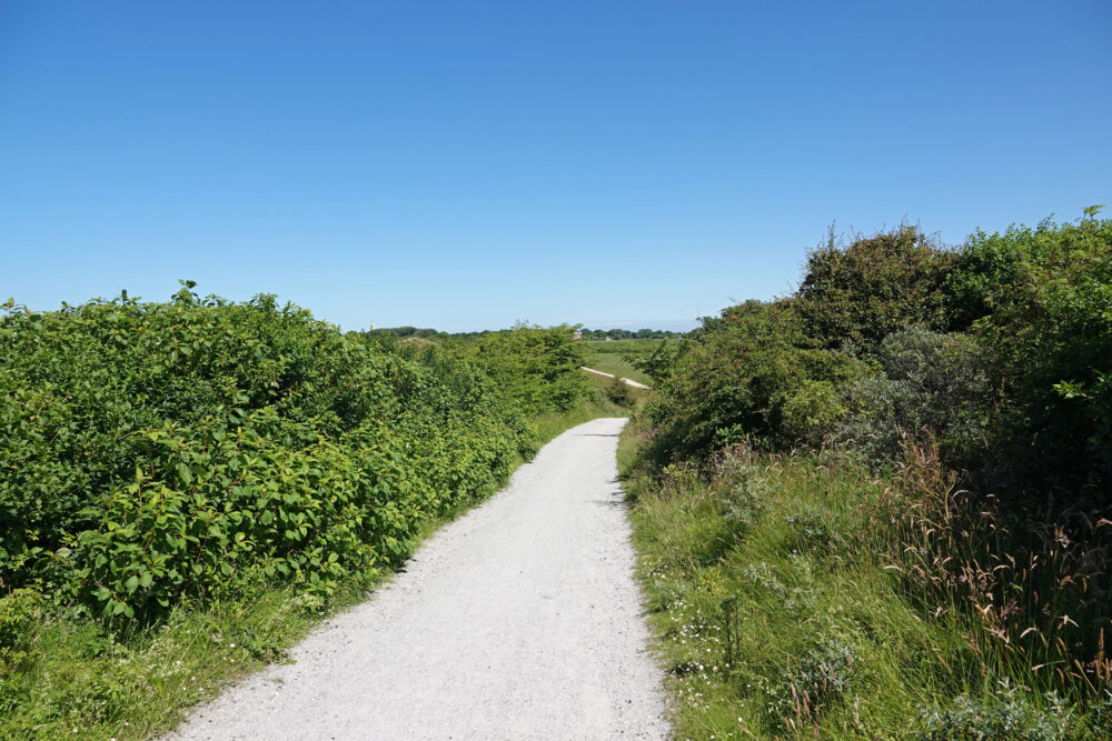 Westerduinen (Schiermonnikoog)