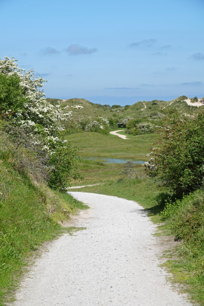 Zicht op Hertenbosvallei in de Westerduinen (Schiermonnikoog)