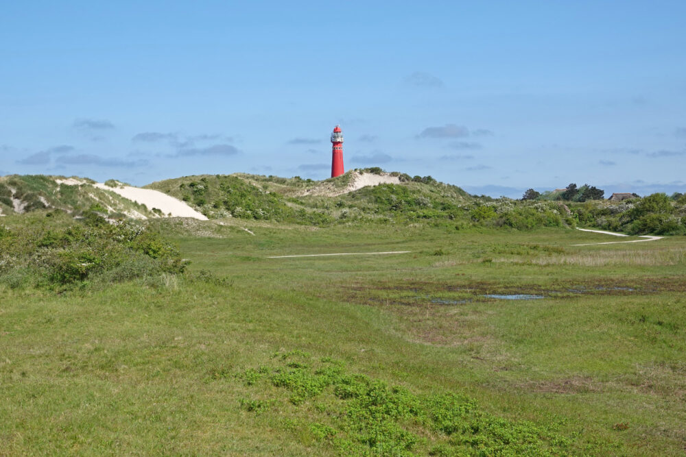 Zicht op vuurtoren (Noordertoren) in Hertenbosvallei in de Westerduinen (Schiermonnikoog)