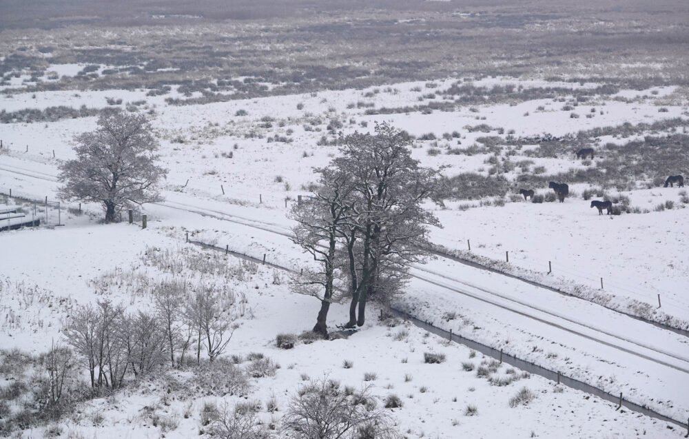 Zicht vanaf uitkijktoren op besneeuwde Onlanden