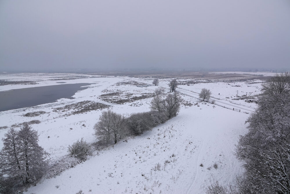 Zicht vanaf uitkijktoren op besneeuwde Onlanden