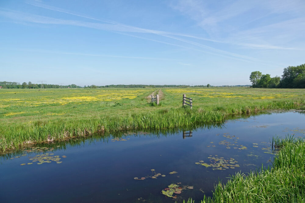 Zuidlaardermeergebied (Onnerpolder)